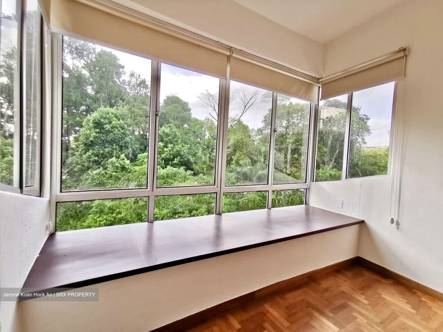 Clementi Park (D21), Condominium #571121361
